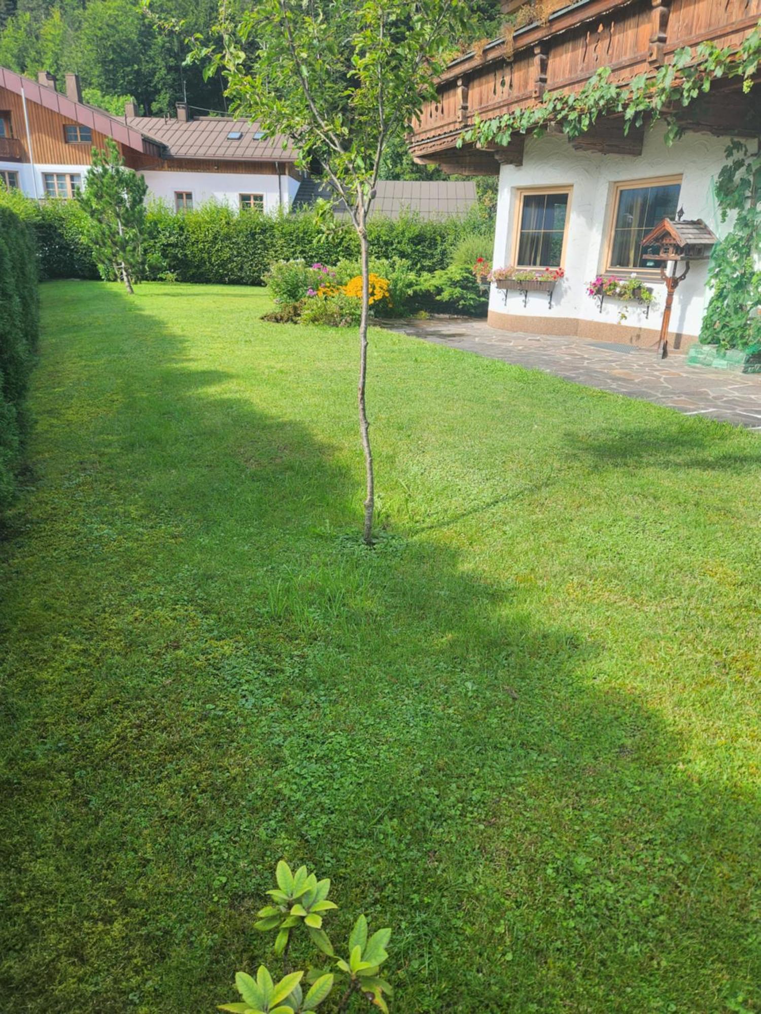 Merryshof Sankt Ulrich am Pillersee Exteriér fotografie